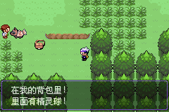《口袋妖怪漆黑的魅影》5.0全流程圖文攻略