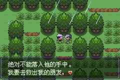 《口袋妖怪漆黑的魅影》5.0全流程圖文攻略