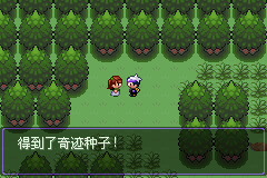 《口袋妖怪漆黑的魅影》5.0全流程圖文攻略