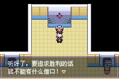 《口袋妖怪漆黑的魅影》5.0全流程圖文攻略