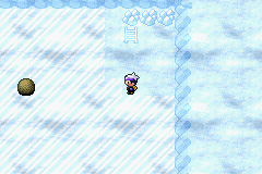 《口袋妖怪漆黑的魅影》5.0全流程圖文攻略