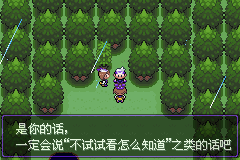 《口袋妖怪漆黑的魅影》5.0全流程圖文攻略