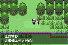 《口袋妖怪漆黑的魅影》5.0全流程圖文攻略