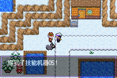 《口袋妖怪漆黑的魅影》5.0全流程圖文攻略