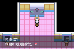 《口袋妖怪漆黑的魅影》5.0全流程圖文攻略