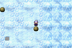 《口袋妖怪漆黑的魅影》5.0全流程圖文攻略