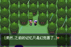 《口袋妖怪漆黑的魅影》5.0全流程圖文攻略