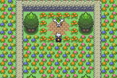 《口袋妖怪漆黑的魅影》5.0全流程圖文攻略