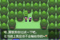 《口袋妖怪漆黑的魅影》5.0全流程圖文攻略