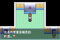 《口袋妖怪漆黑的魅影》5.0全流程圖文攻略