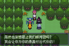 《口袋妖怪漆黑的魅影》5.0全流程圖文攻略