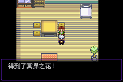 《口袋妖怪漆黑的魅影》5.0全流程圖文攻略