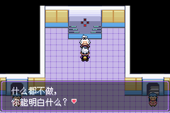 《口袋妖怪漆黑的魅影》5.0全流程圖文攻略