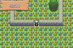 《口袋妖怪漆黑的魅影》5.0全流程圖文攻略