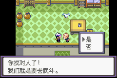 《口袋妖怪漆黑的魅影》5.0全流程圖文攻略