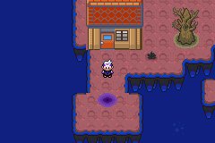 《口袋妖怪漆黑的魅影》5.0全流程圖文攻略