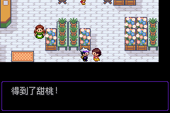 《口袋妖怪漆黑的魅影》5.0全流程圖文攻略
