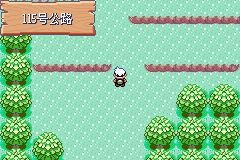 《口袋妖怪綠寶石》圖文攻略（一周目、二周目）