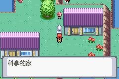 《口袋妖怪火紅》圖文攻略（一周目、二周目）