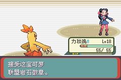 《口袋妖怪綠寶石》圖文攻略（一周目、二周目）