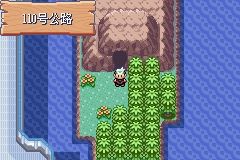 《口袋妖怪綠寶石》圖文攻略（一周目、二周目）