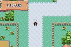 《口袋妖怪綠寶石》圖文攻略（一周目、二周目）