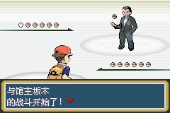 《口袋妖怪火紅》圖文攻略（一周目、二周目）