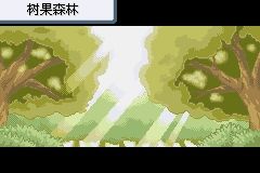 《口袋妖怪火紅》圖文攻略（一周目、二周目）