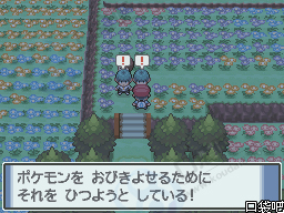 《口袋妖怪白金》圖文攻略（一周目、二周目）