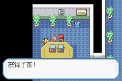 《口袋妖怪火紅》圖文攻略（一周目、二周目）