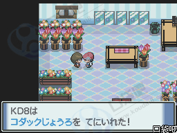 《口袋妖怪白金》圖文攻略（一周目、二周目）