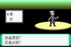 《口袋妖怪綠寶石》圖文攻略（一周目、二周目）