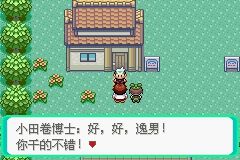 《口袋妖怪綠寶石》圖文攻略（一周目、二周目）