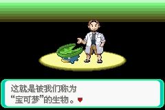 《口袋妖怪綠寶石》圖文攻略（一周目、二周目）