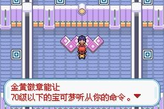 《口袋妖怪火紅》圖文攻略（一周目、二周目）