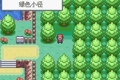 《口袋妖怪火紅》圖文攻略（一周目、二周目）