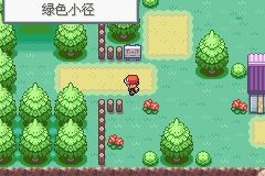 《口袋妖怪火紅》圖文攻略（一周目、二周目）