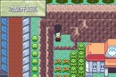 《口袋妖怪綠寶石》圖文攻略（一周目、二周目）