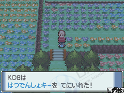 《口袋妖怪白金》圖文攻略（一周目、二周目）