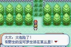 《口袋妖怪火紅》圖文攻略（一周目、二周目）