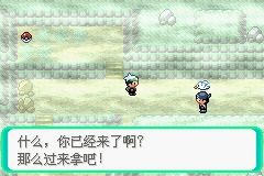 《口袋妖怪綠寶石》圖文攻略（一周目、二周目）