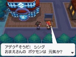 《口袋妖怪黑白2》一周目圖文攻略