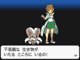 《口袋妖怪黑白2》一周目圖文攻略