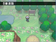 《口袋妖怪黑白》一周目流程攻略