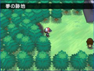 《口袋妖怪黑白》一周目流程攻略