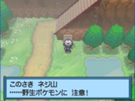 《口袋妖怪黑白》一周目流程攻略