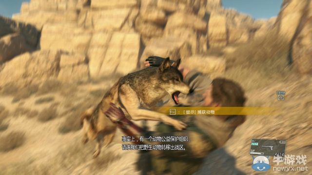 《大皇帝》平民步兵流玩家武將培養(yǎng)攻略
