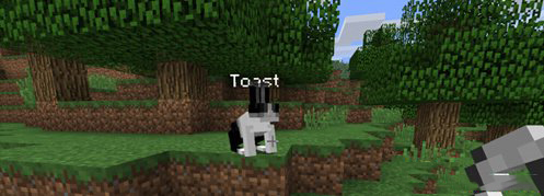 《我的世界》殺人兔飼養方法攻略