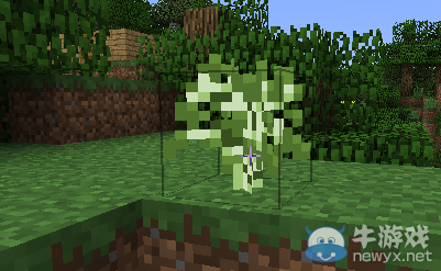 《我的世界》最經典的新手教程