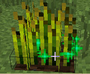 《我的世界》最經典的新手教程